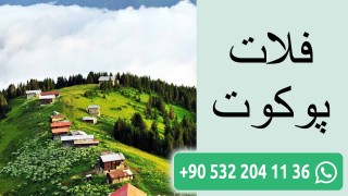 فلات پوکوت